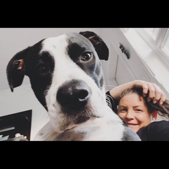 Meet your Posher, Gisela - Picture 7 of 8